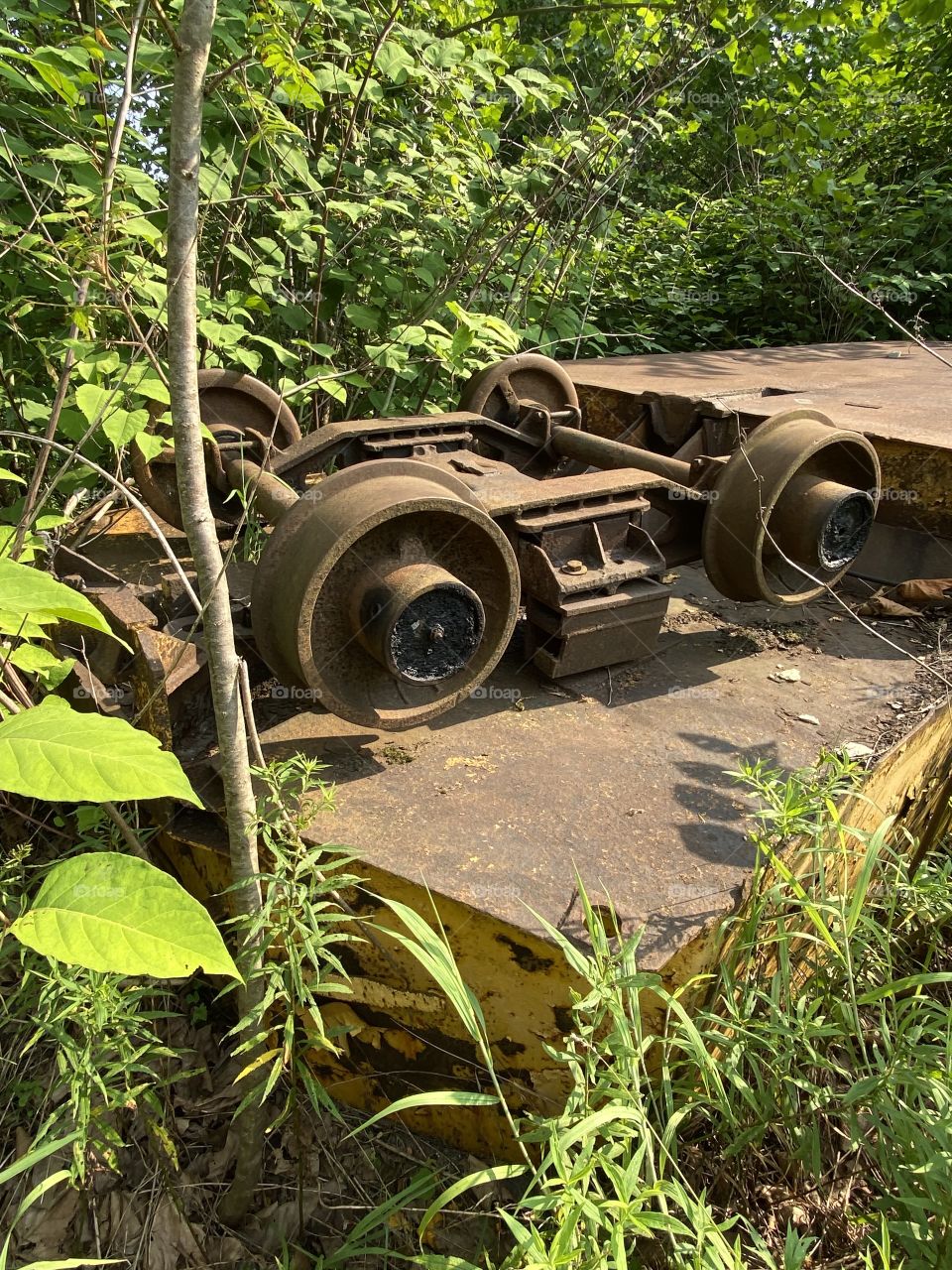 Abandoned coal car in the woods 