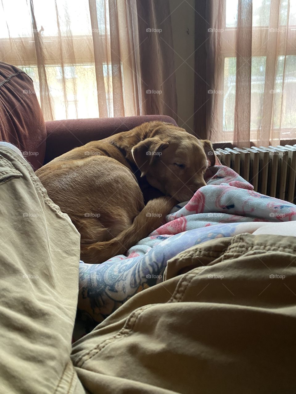 Resting relaxing recharging 