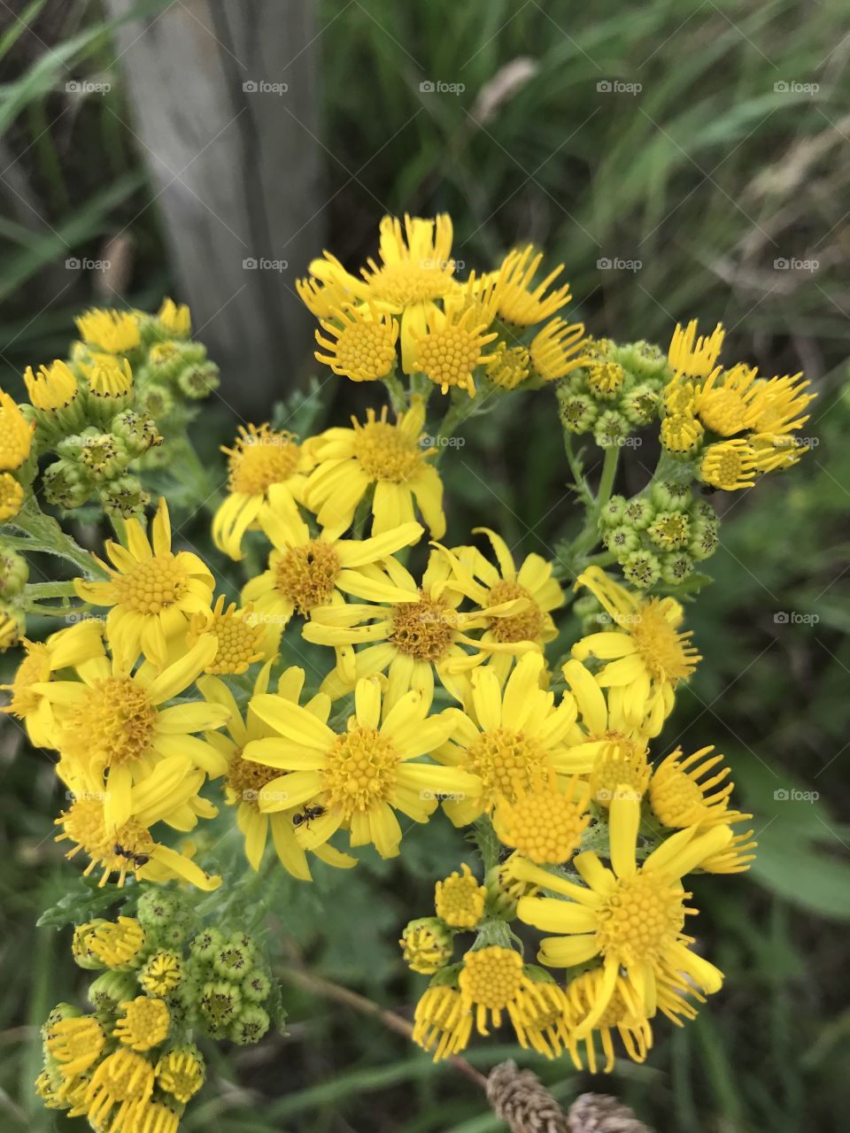 Out in the wilderness 