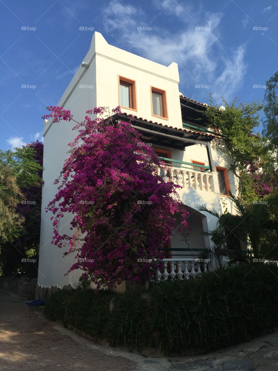 Hotel apartments with colorful flowers on a building 