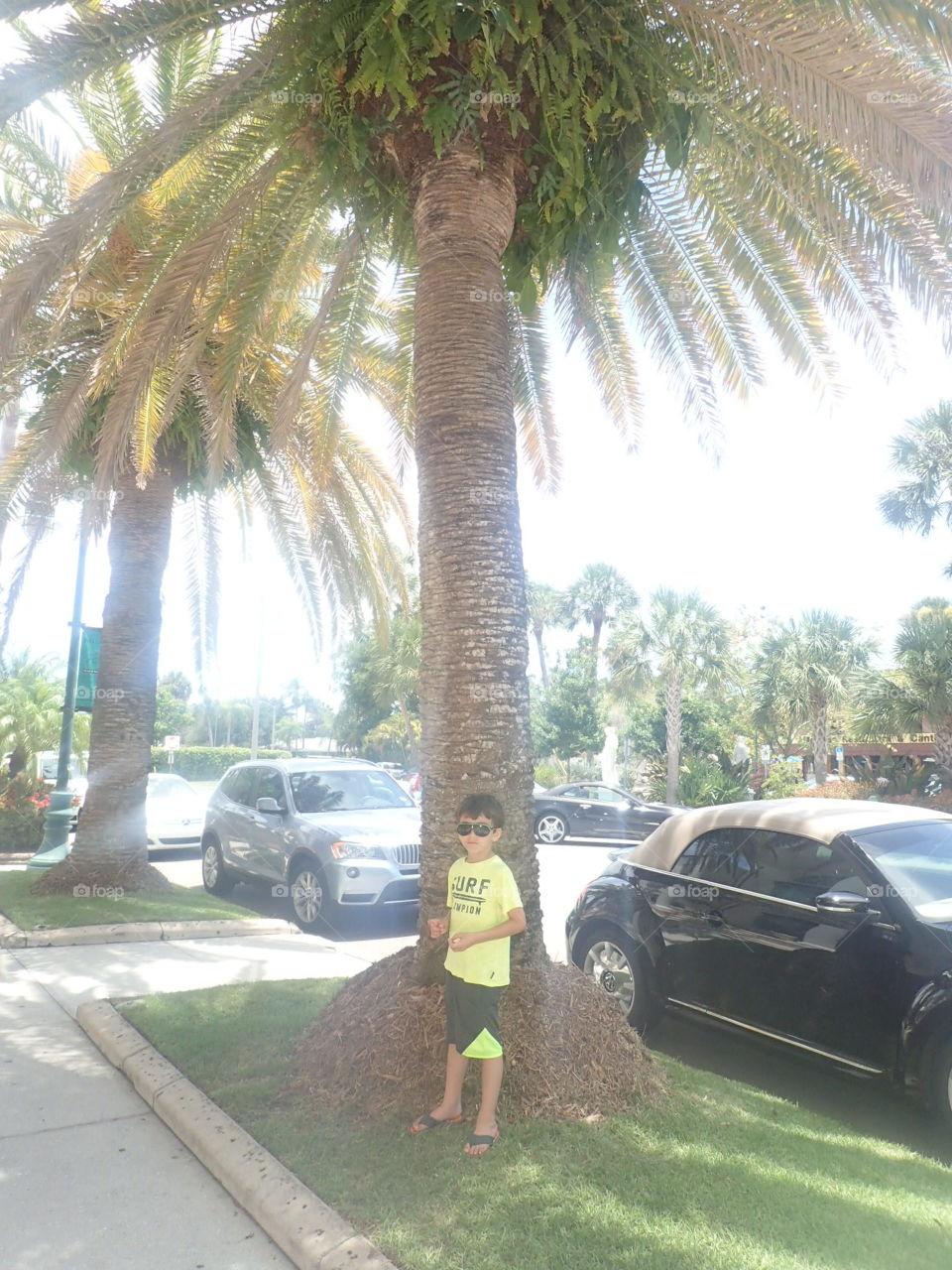 Under the Palms. child under palm trees