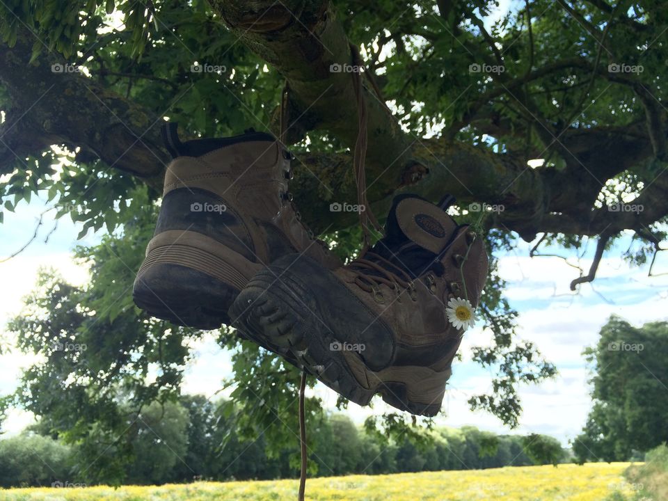 Hiking boots hanging up in a tree ...decorated with a little Daisy 