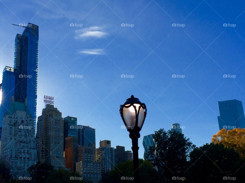 The view from Central Park