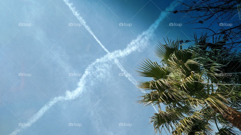 x in the sky