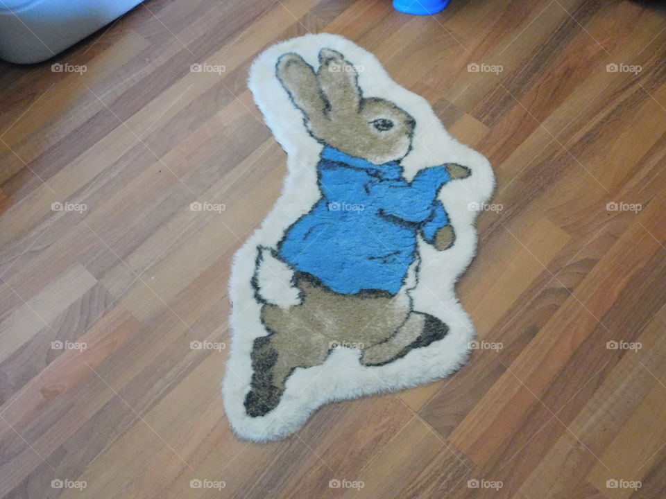 Floor bunny 
