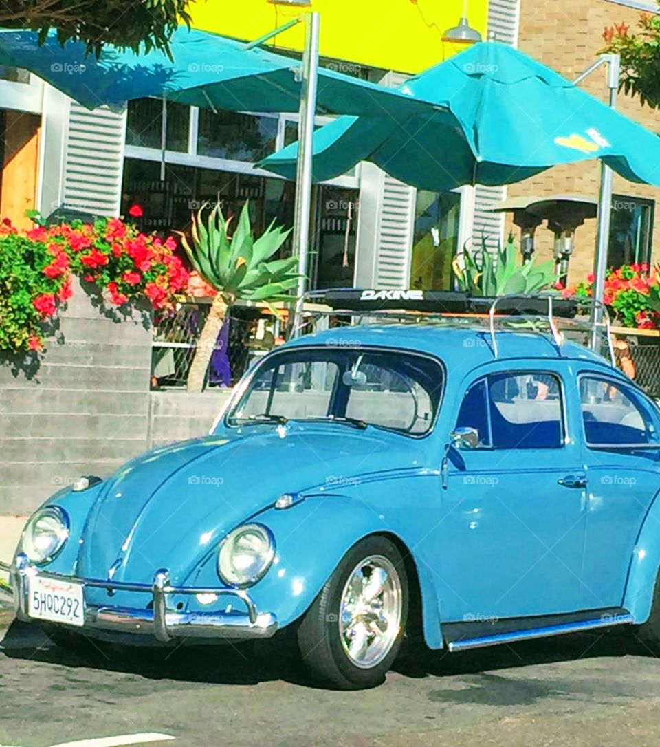 Blue Bug