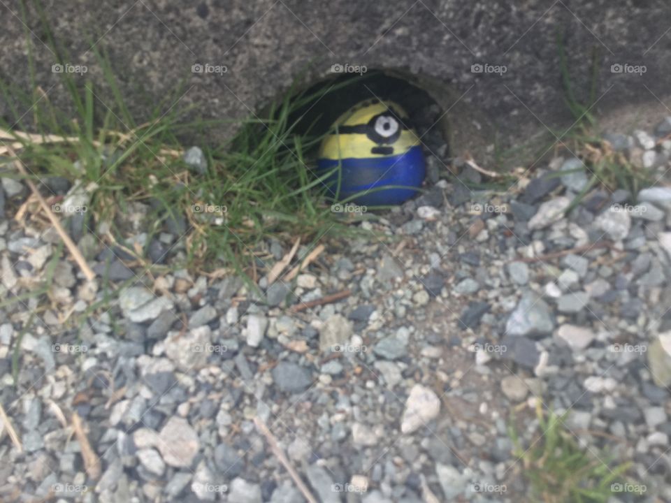 Stone painted as minion that was placed in a park 