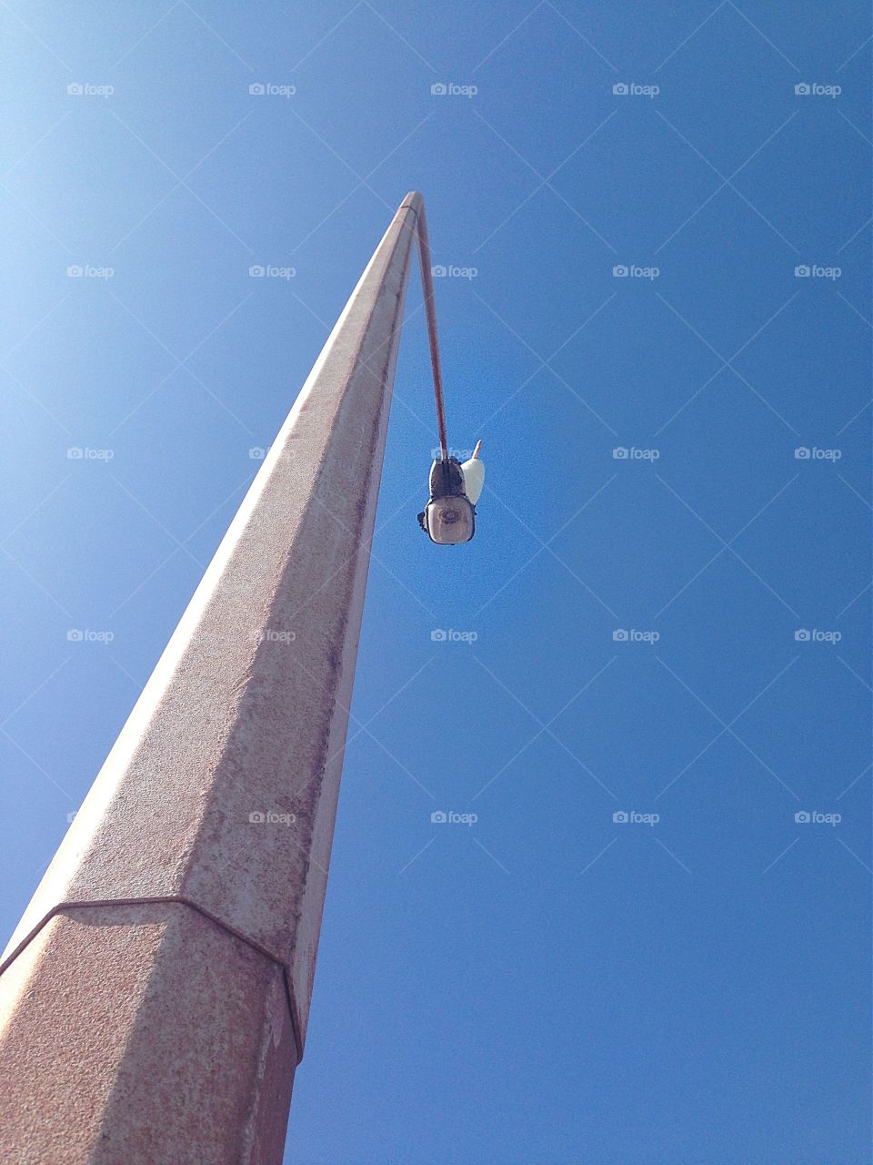 Pelican on a lamp post. Pelican on lamp post, South Australia