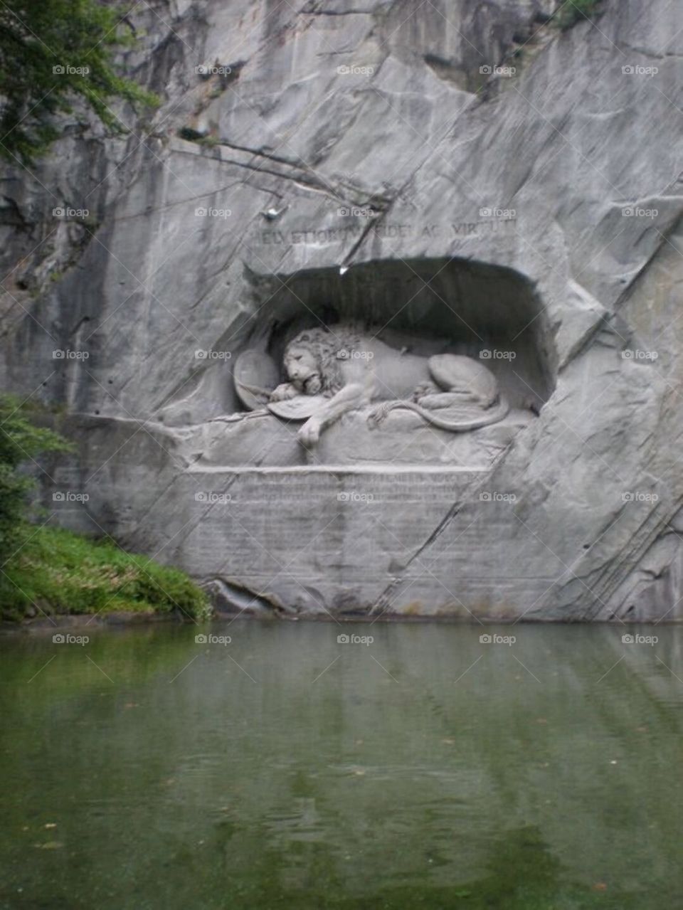 Lucerne Lion
