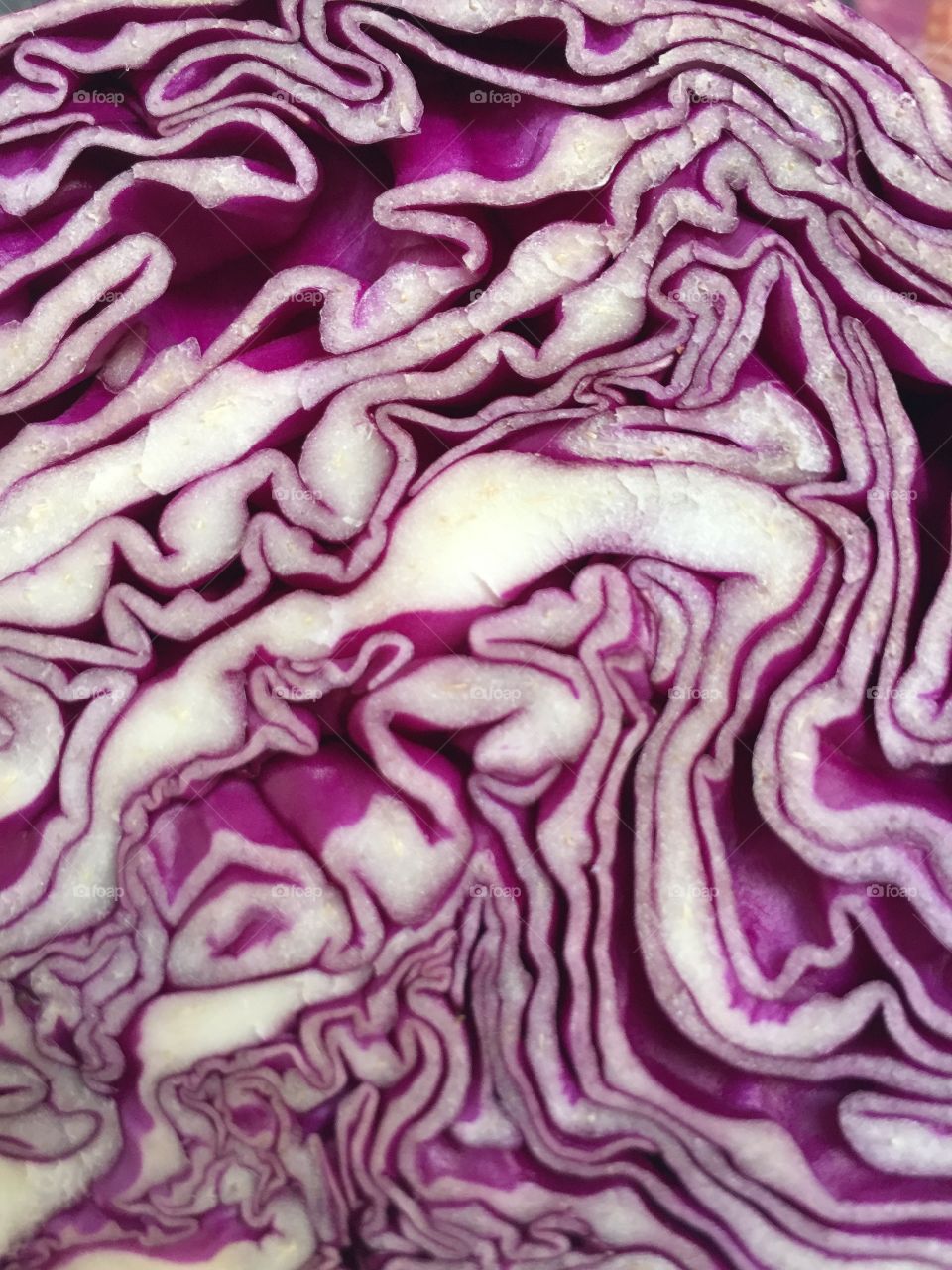 Cabbage maze 
