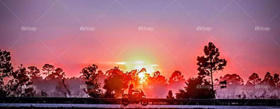 Morning Rider