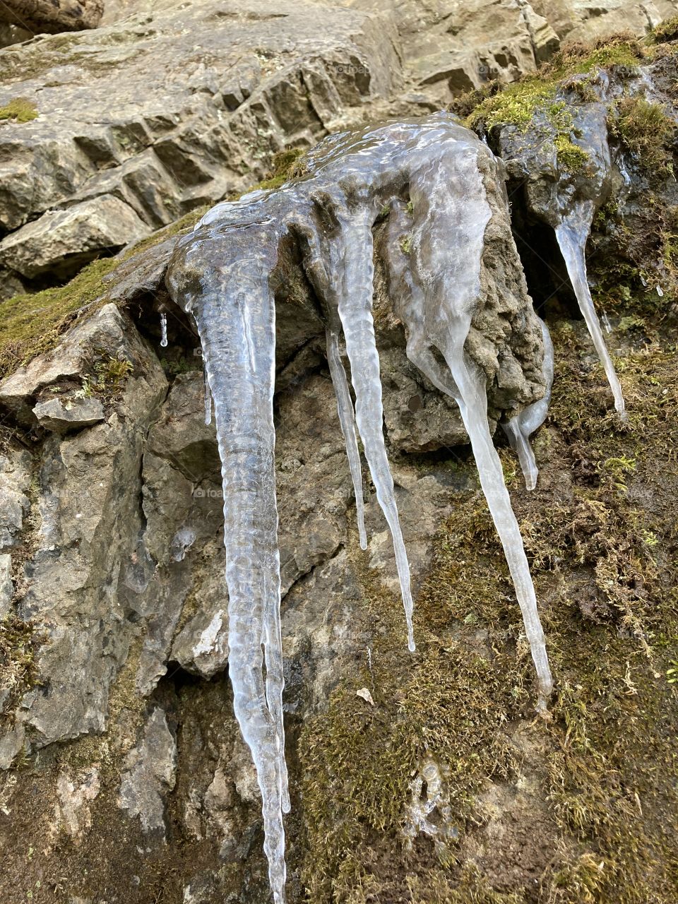 Multiple melting icicles hanging off a rock ridge
