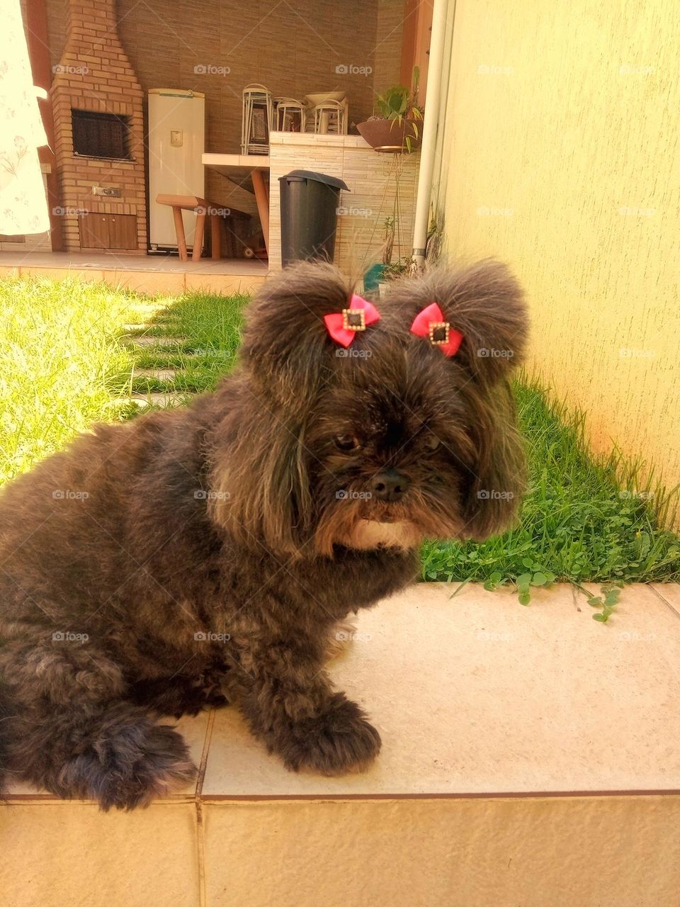 She is in the backyard