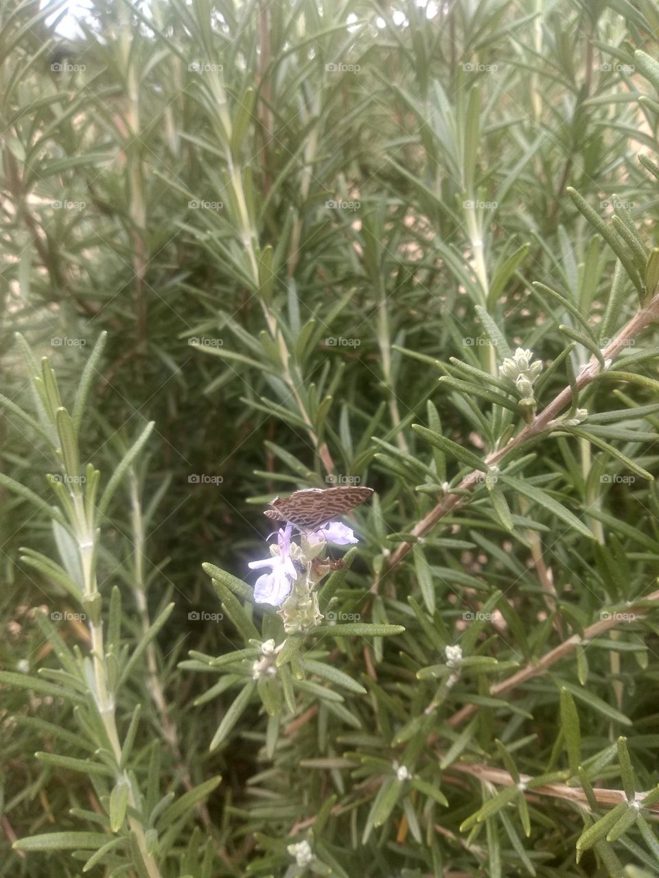 Upload your Photo of the Week