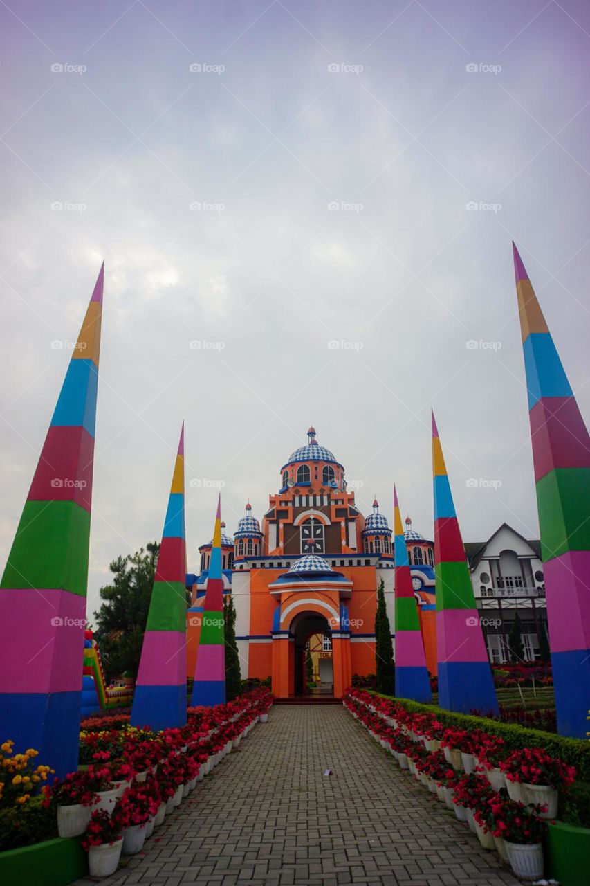 new celosia indonesia