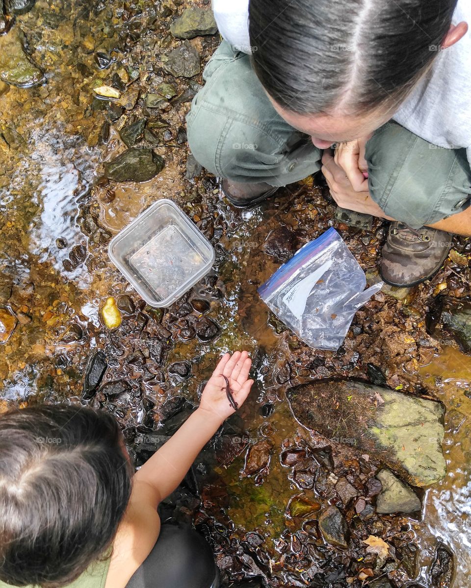 learning all about salamanders out in the field.