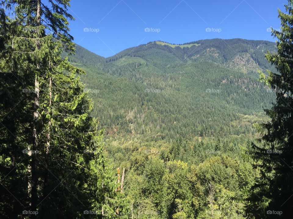 Wood, No Person, Mountain, Nature, Landscape