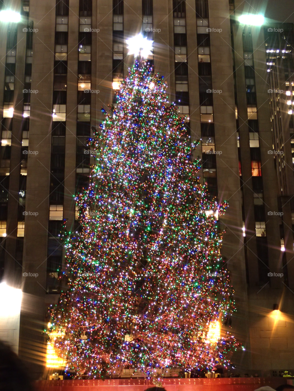 nyc tree christmas ice skating by delvec