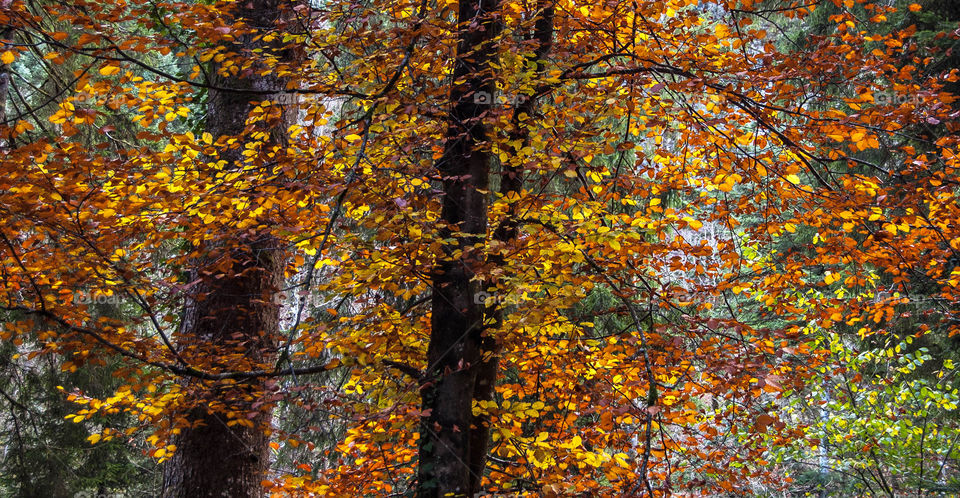 Promenade dans le Doubs