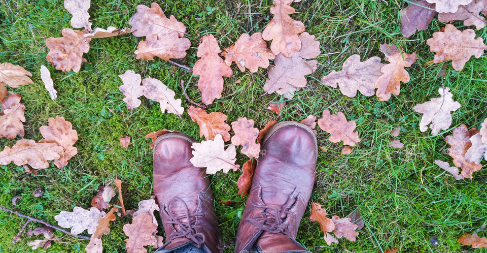 Autumn oak leaves, grass and leather boots