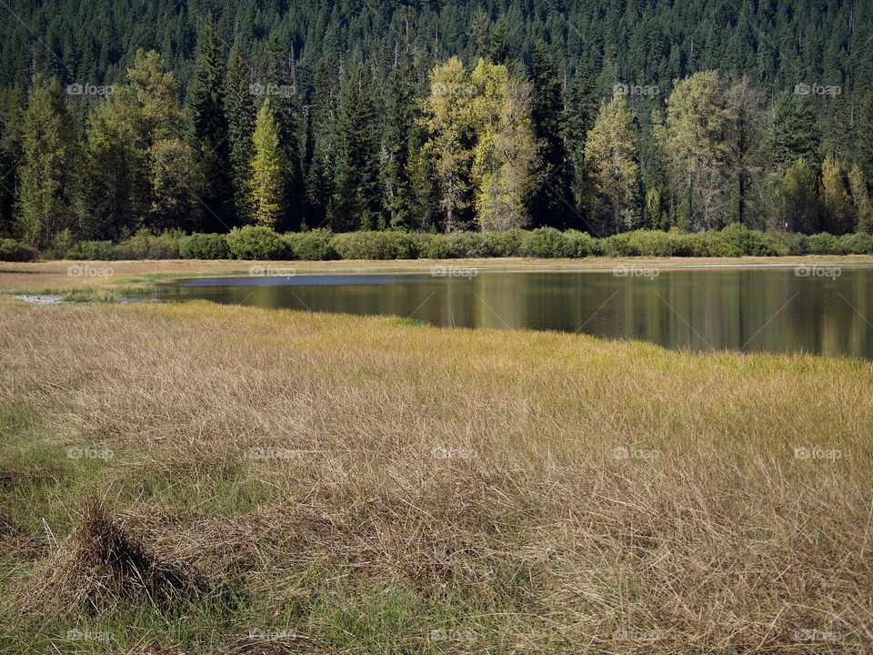 Lost Lake off of the Santiam Pass in Oregon’s mountains with multicolored trees reflecting in its waters on a beautiful sunny fall day. 