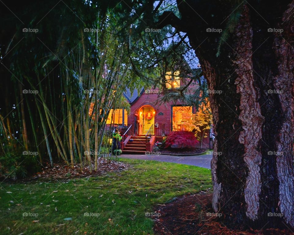 cottage tucked away in nature