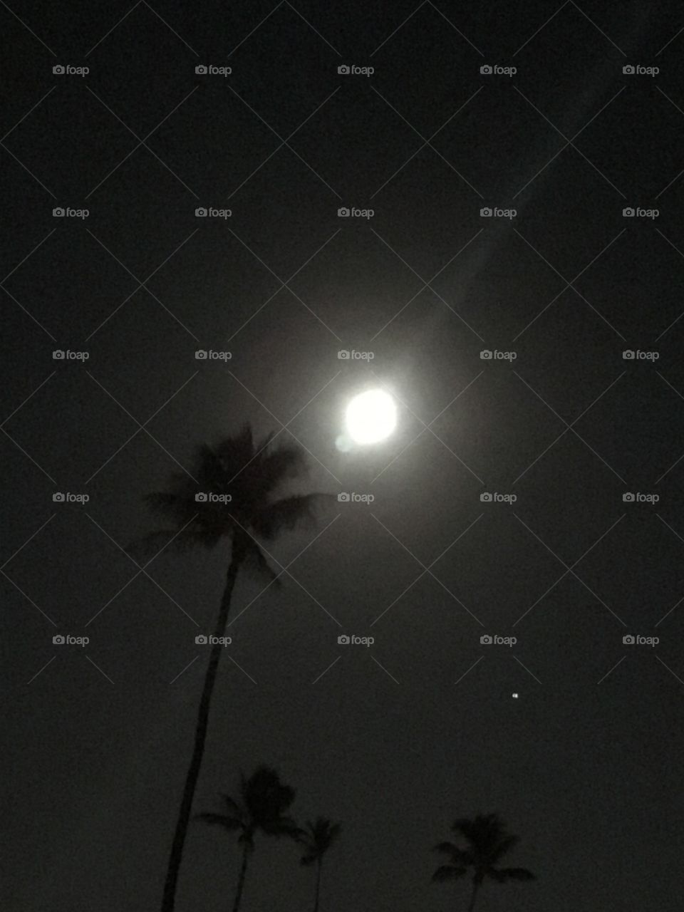 Waikiki moon