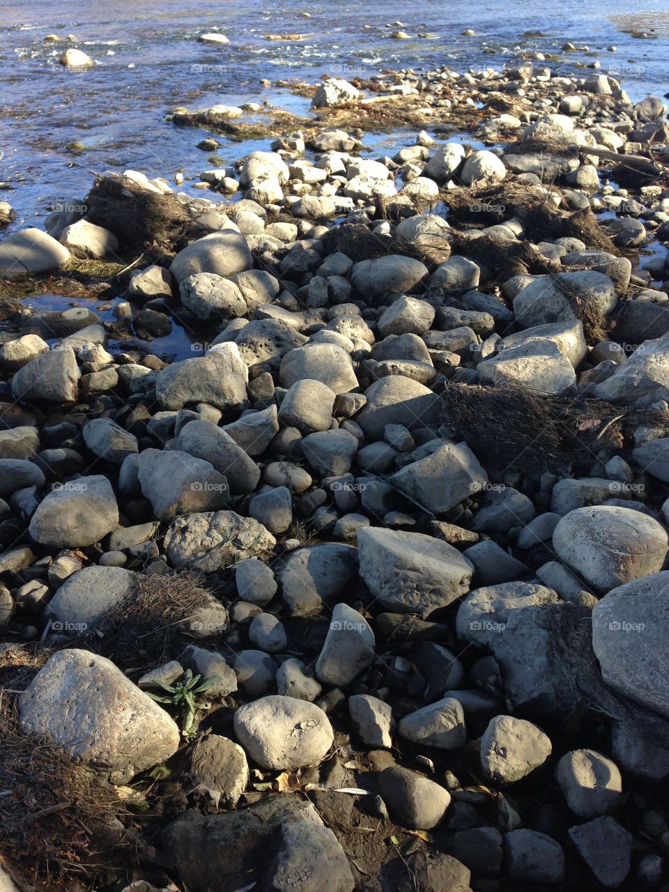Rocks in river. 