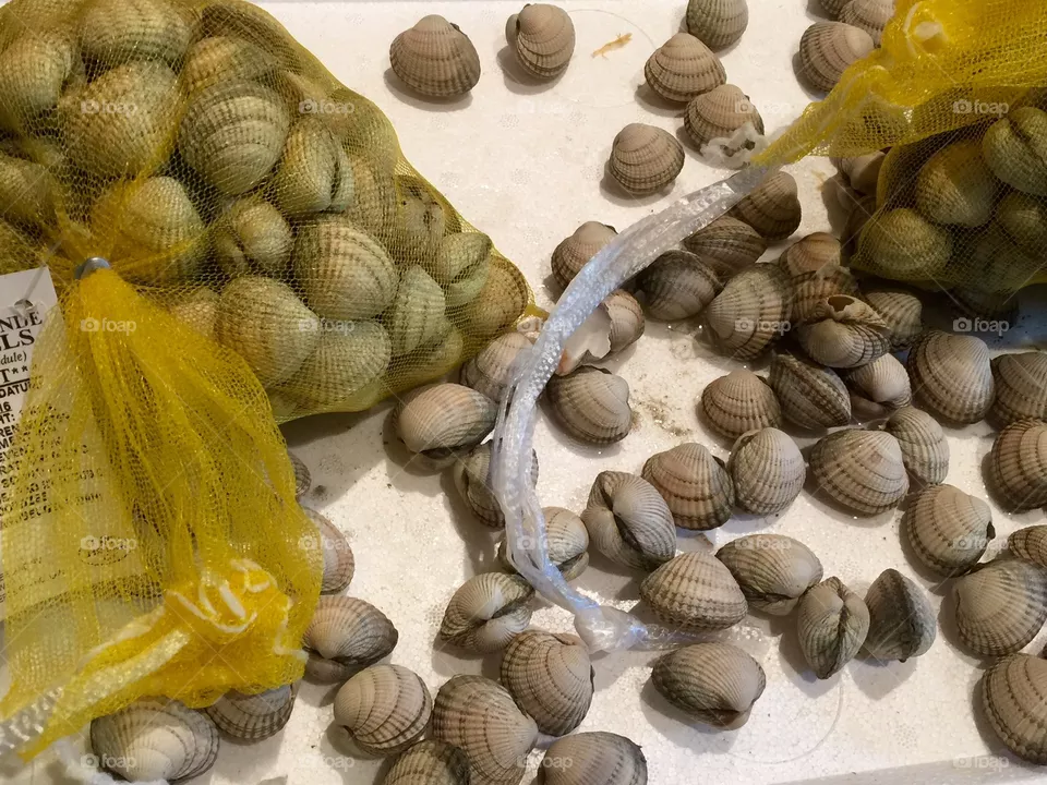 Cockles