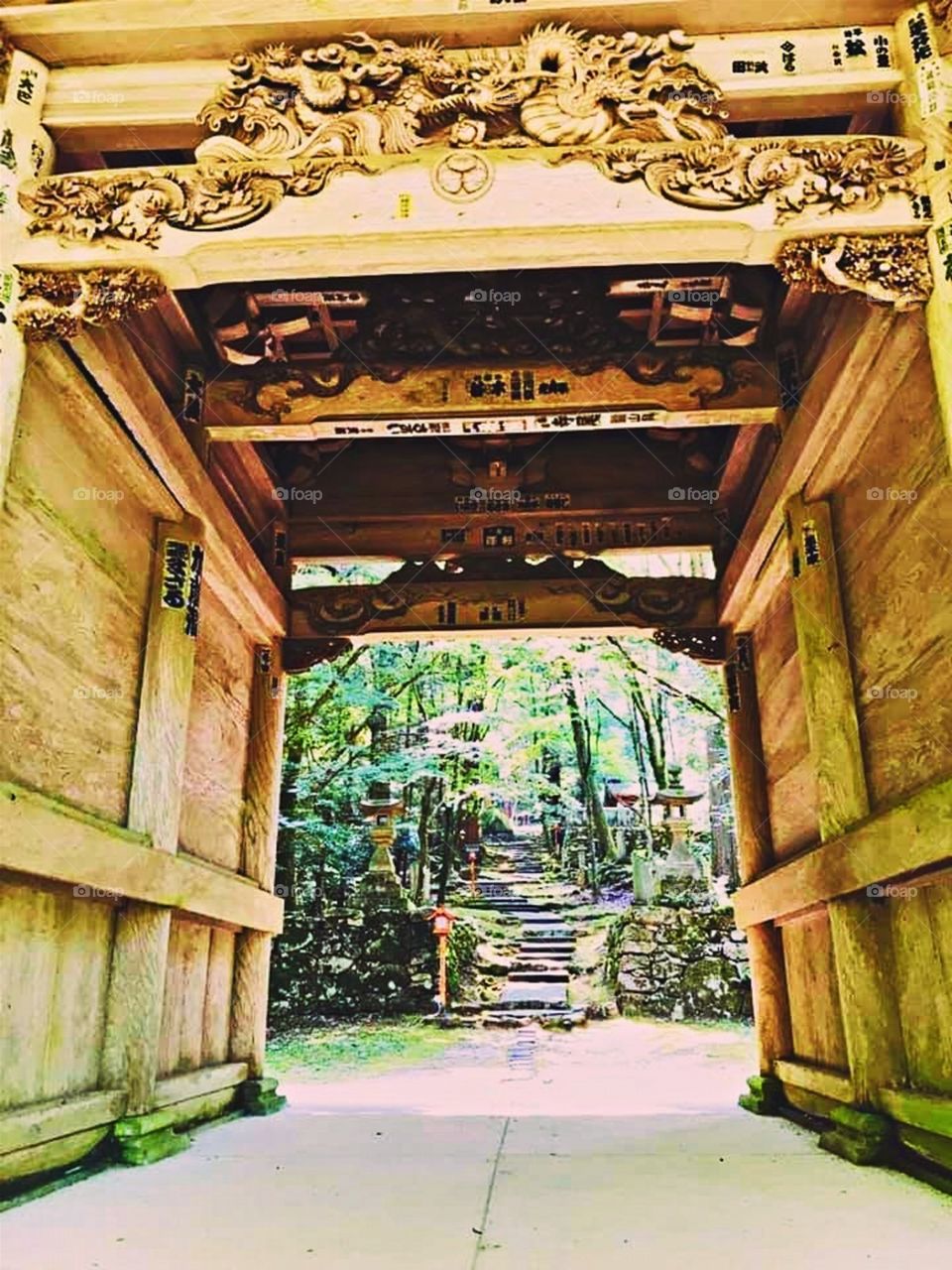 The Gate to the Woods!