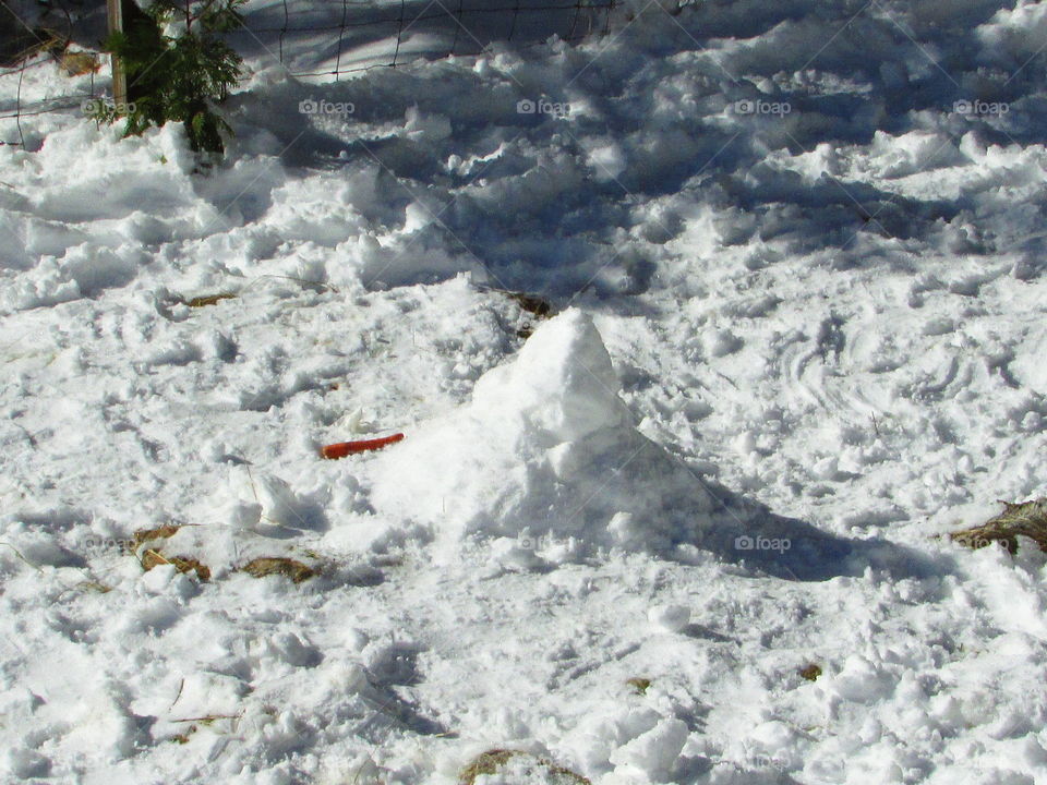 small snowman carrot