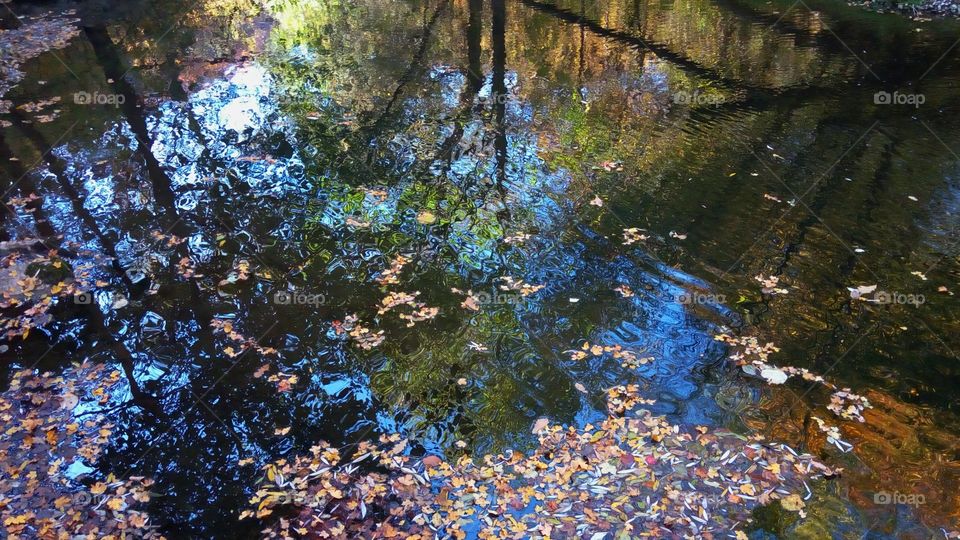 Reflections, autumn, colors