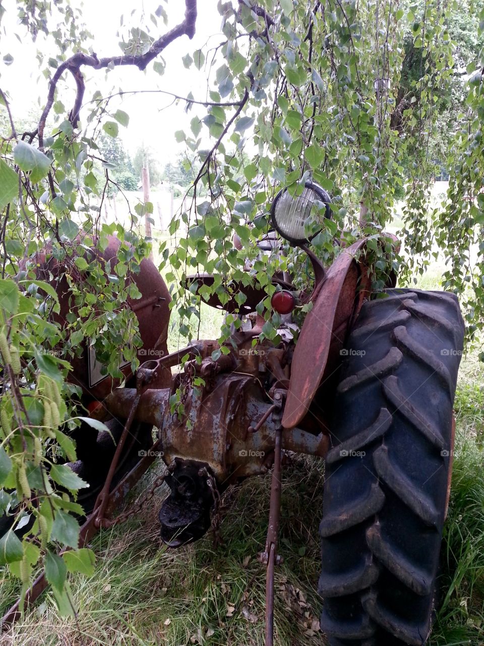 Vintage Ferguson tractor
