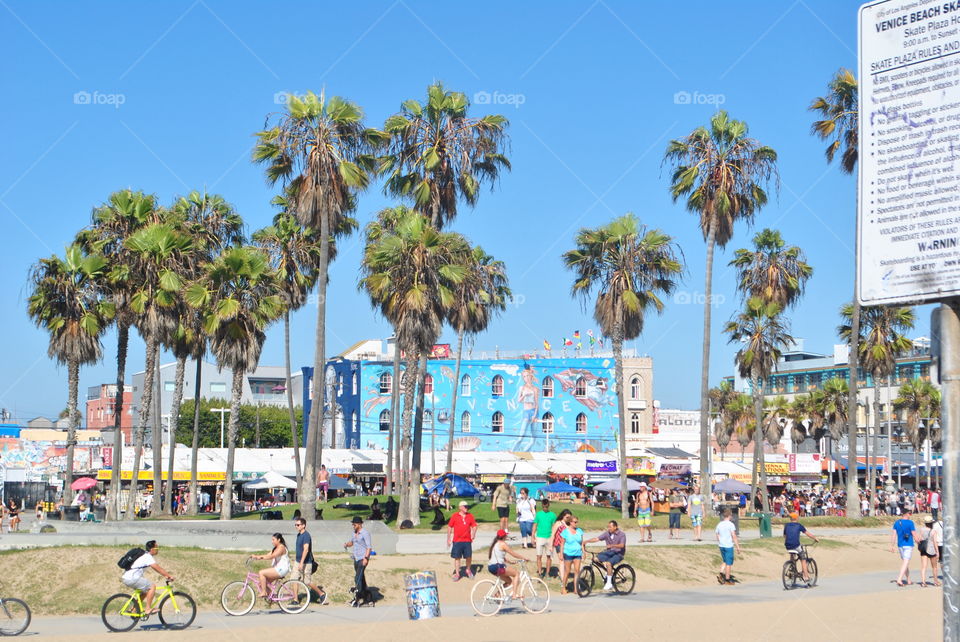 Palm trees and a blue building at the beach