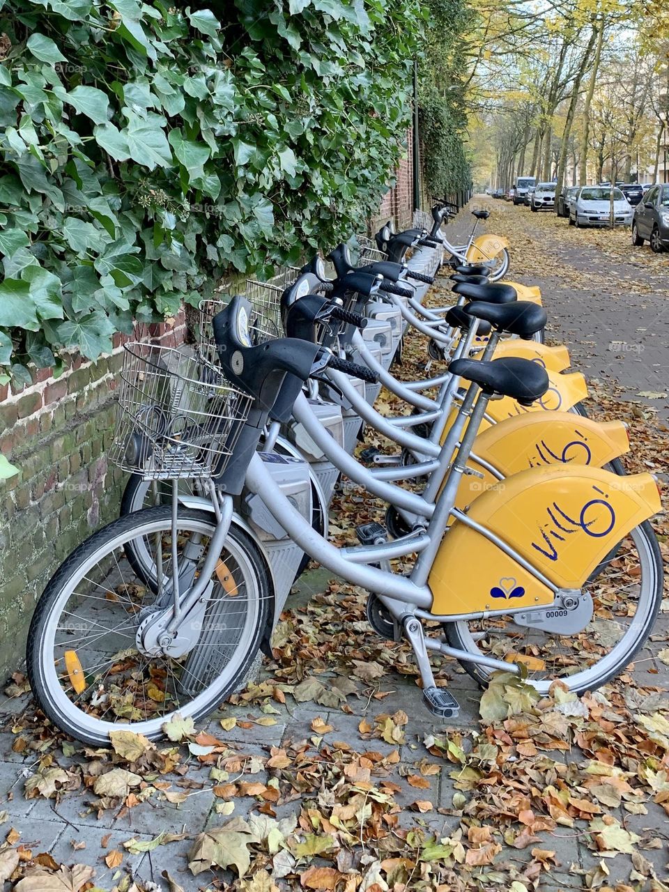 City bikes 