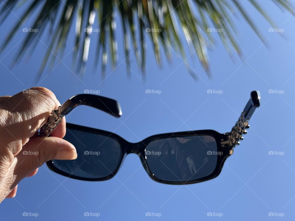My view looking upwards in my garden … a gorgeous blue sky and full sun … sunglasses to the ready !😎