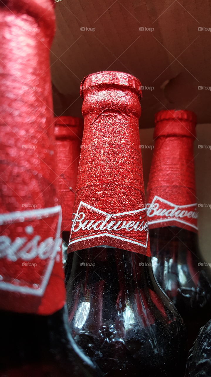 #partymood #beer #red #chillout #party #Budweiser #alcohol #liquor