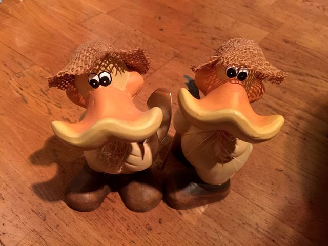 My duck