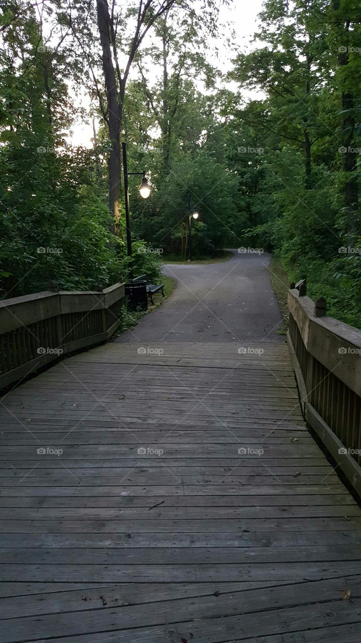 walkway/evening/park