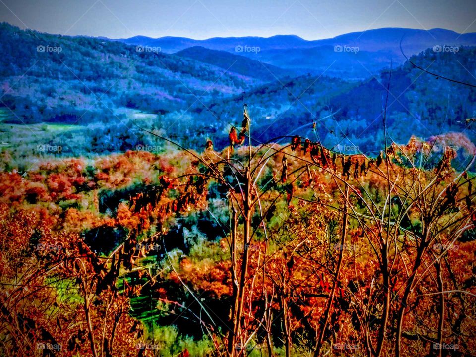 The Earth is God's Canvas