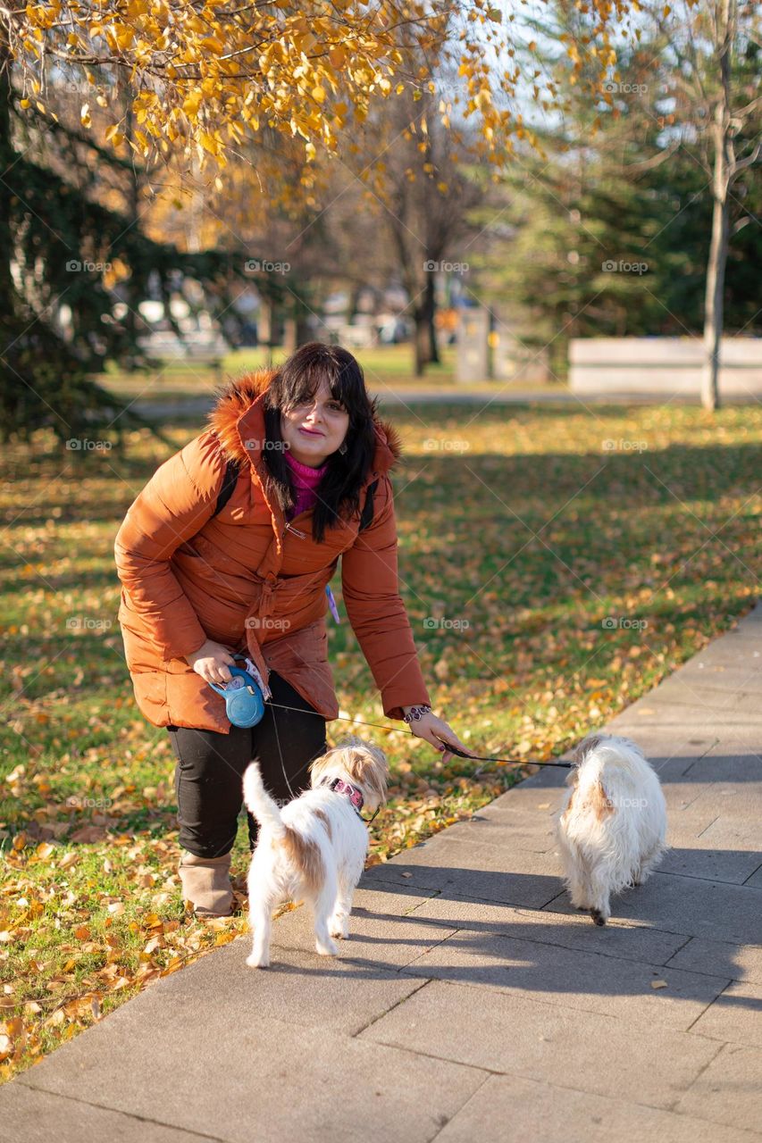 Taking a dogs to a walk