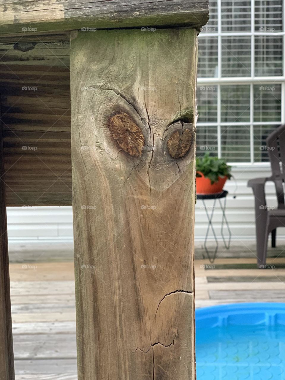 Grumpy wood