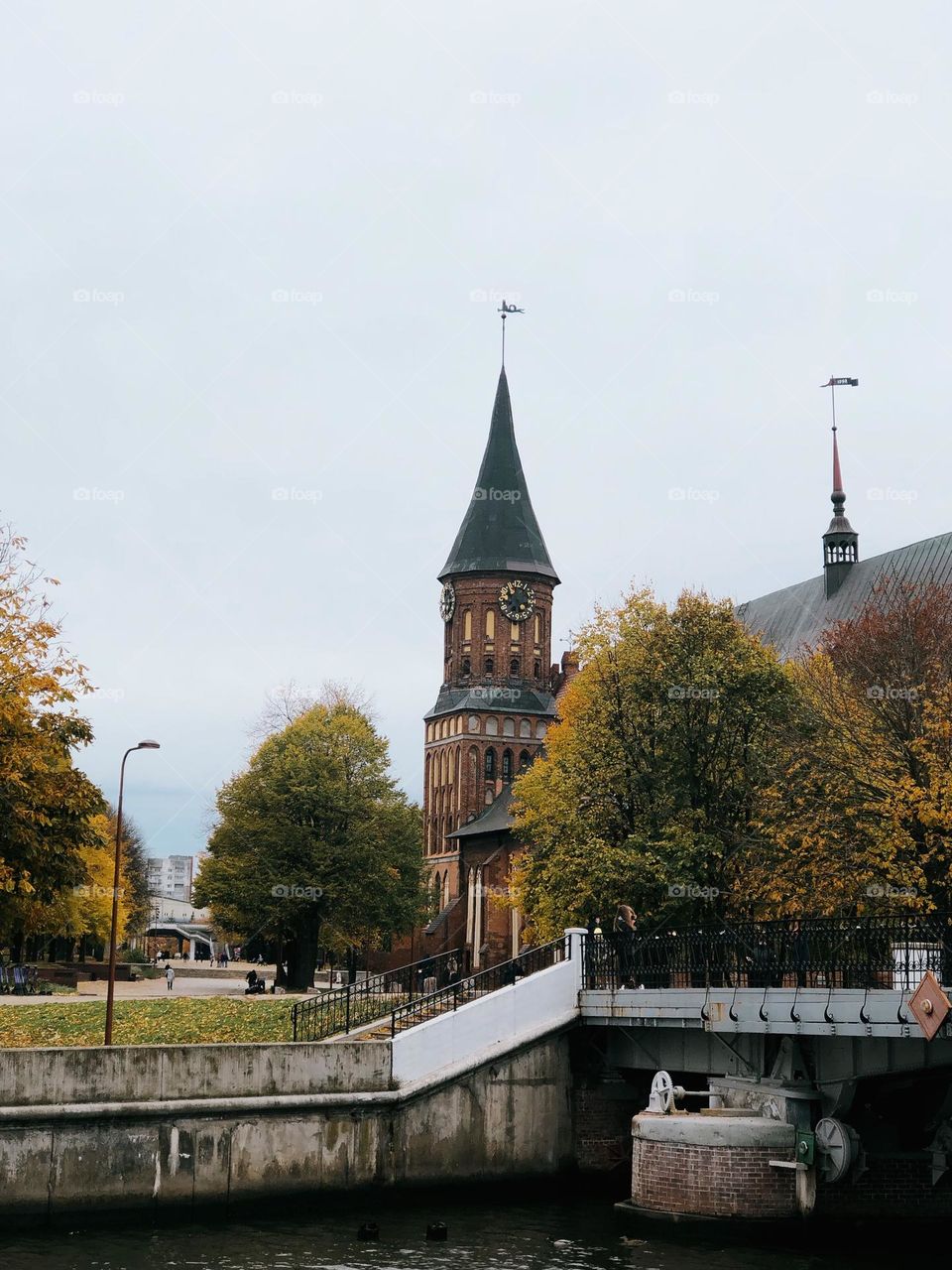 Beautiful view on Kaliningrad, urban nature 