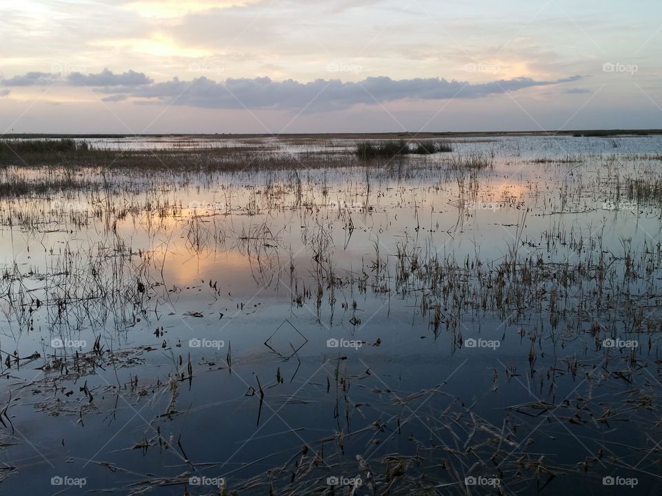 The Marsh of Florida