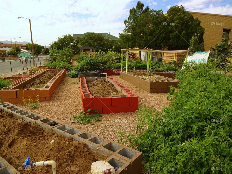 Community garden