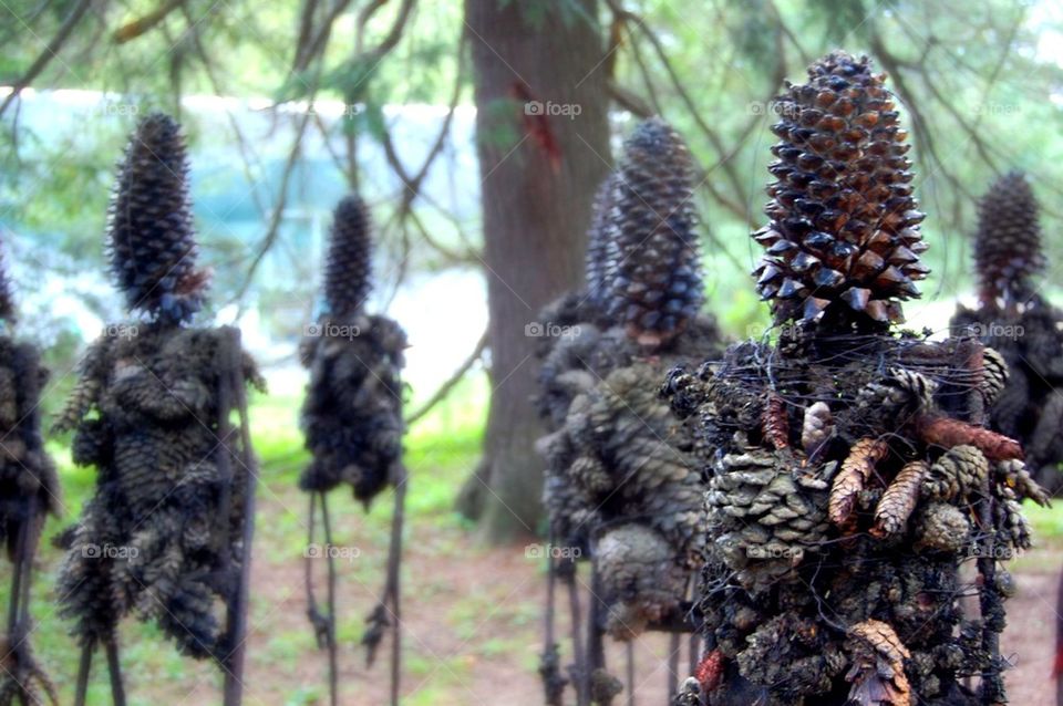 Invasion by Pine Cone People