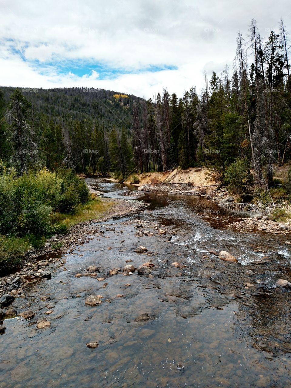 wild creek