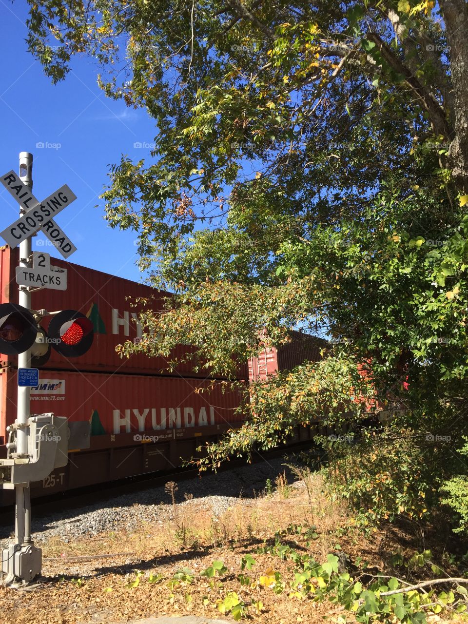 Train, coming, red light at railroad crossing, trees.