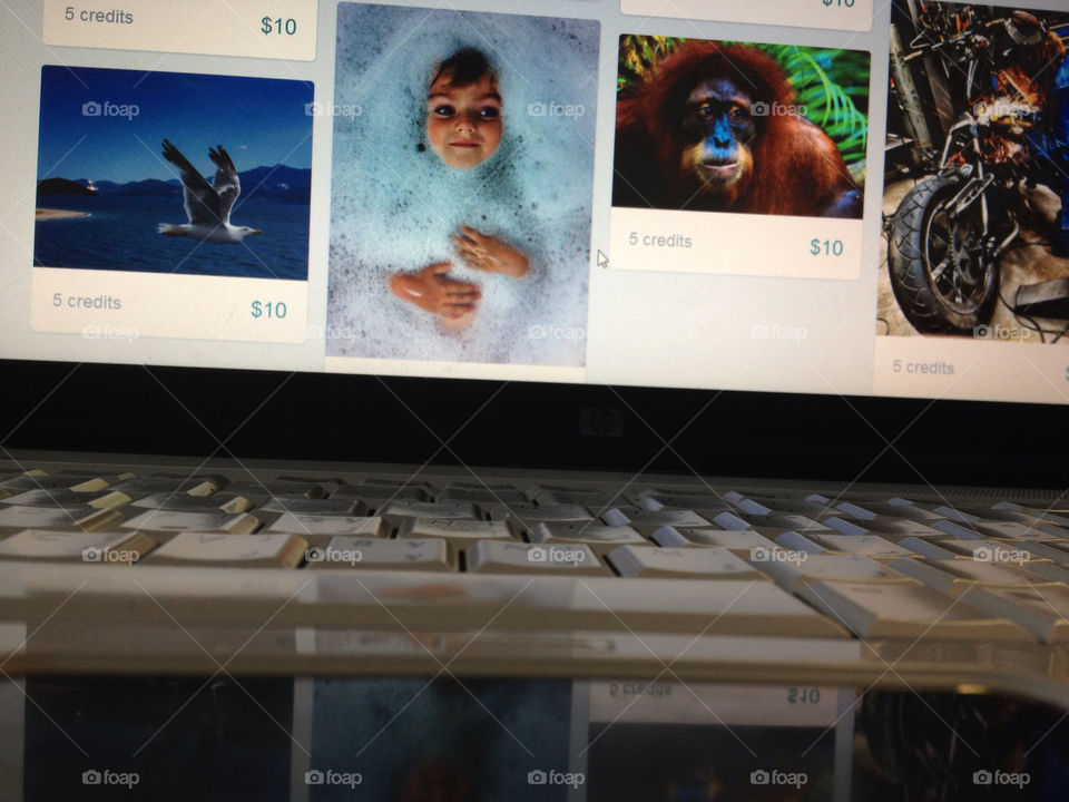 baby monkey laptob google by musa3d