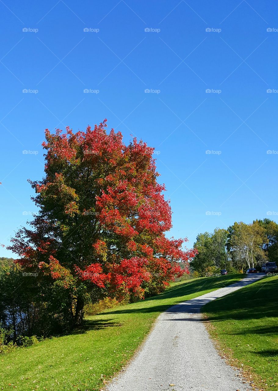 Beautiful autumn in PA